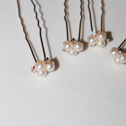 Forcine POLLINE Rose Gold set 5 pezzi