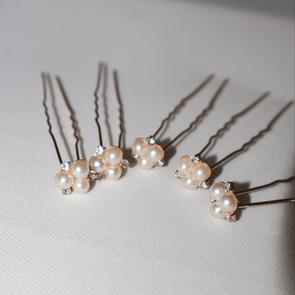 Forcine POLLINE Rose Gold set 5 pezzi